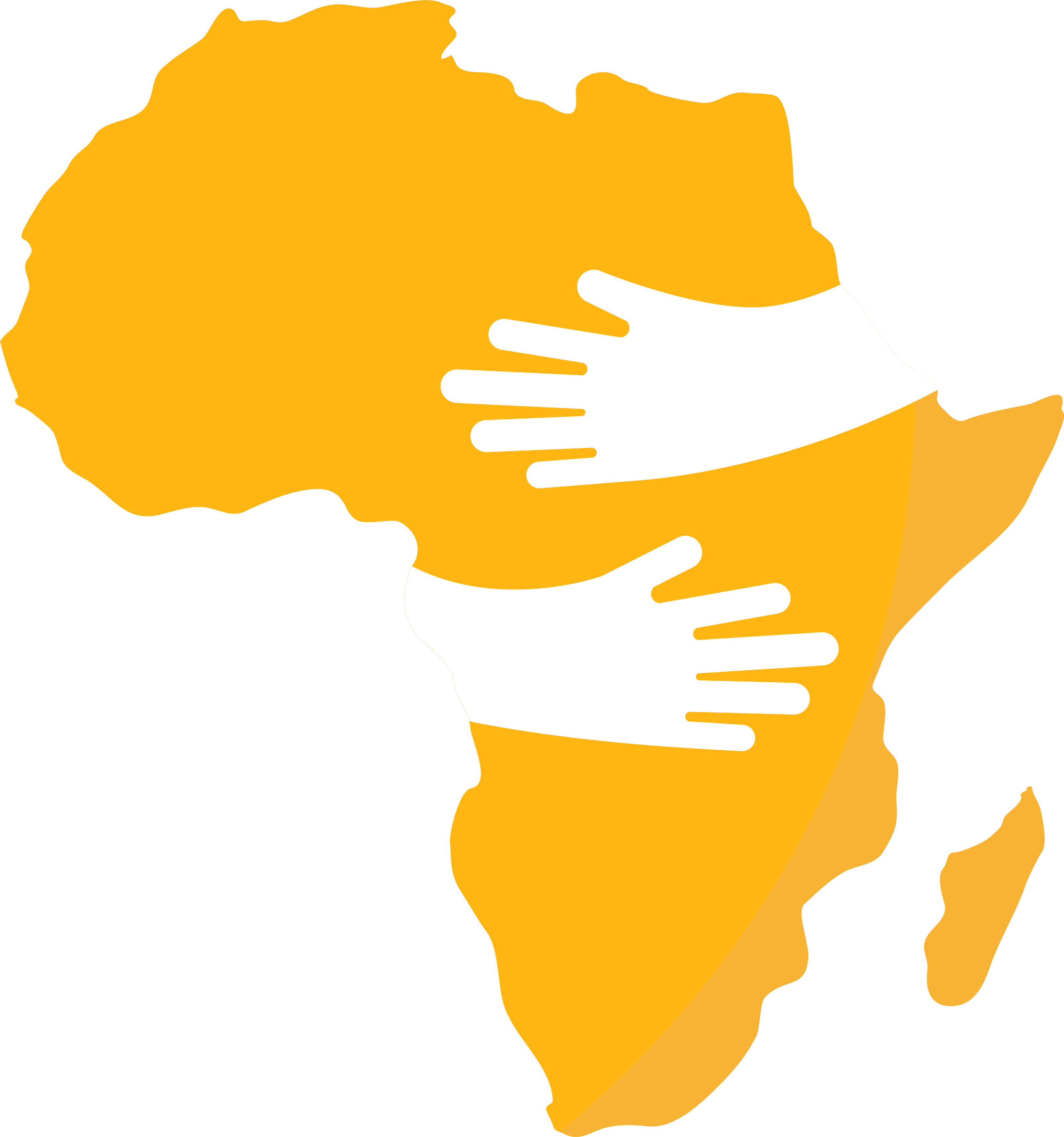 NFAHS — Healthcare for Africa